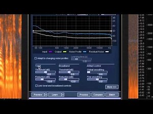 Reduce Hiss with RX 2 | iZotope Tips From A Pro