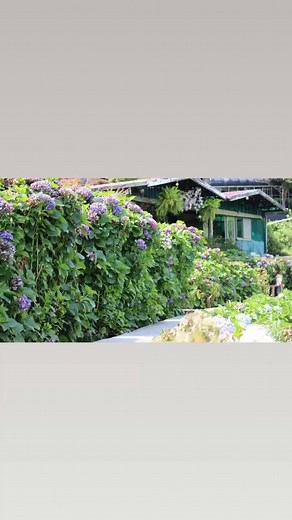 Happy weekend everyone | Autumn Joy