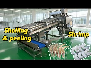 Shrimp Shelling Machine Automatic | Peeling & Deveining | Work Process Video