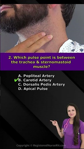Pulse Points Location Quiz for Nursing School Students & Nurses #shorts
