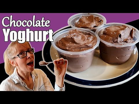 Chocolate Yoghurt Recipe / How to Make Chocolate Yoghurt