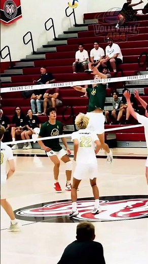 Float like a butterfly and sting like a Bee🏐 #volleyball #skills t #volleyballworld #volley