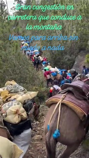 el mejor video que verá en este fin de semana, Rep Dom.
