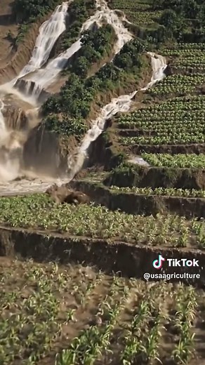 Impacts of Agricultural Expansion on Mountain Environments