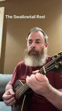 The Swallowtail Reel (on mandola)
