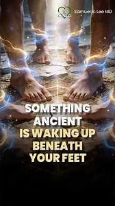 YOU ARE NOT SEPARATE FROM THE EARTH (read comments)