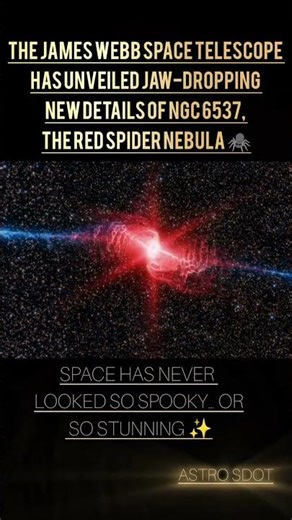 🕷️ Webb’s Red Spider: A Cosmic Creepy-Crawly Revealed