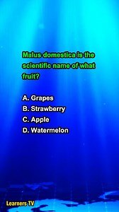 Malus domestica is the scientific name of what fruit? #learnerstv #trivia #education | Learners TV