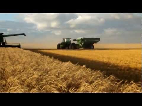 Wheat harvest in western Canada with John Deere
