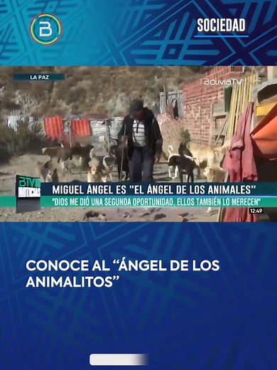 BOLIVIA TV on TikTok