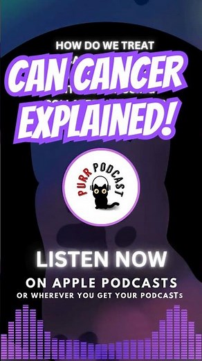 Feline cancer and radiation therapy explained with Dr. Pamela Jones - Purr Podcast Episode 209