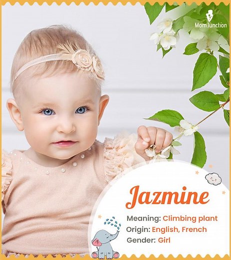 Jazmine Name Meaning: Complete Guide To Origin And Variations
