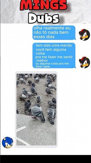 SHADOW ESTÁ TRISTE?#shorts