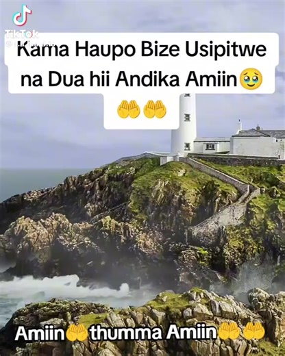 PCK (@pcktz)’s videos with original sound - PCK