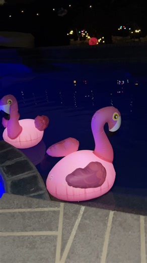 Watch How to light up your pool on Amazon Live