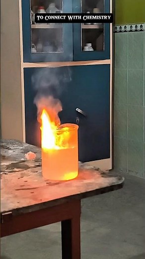 sodium metal react with water // Chemistry laboratory // practical experiment #chemistrypractical