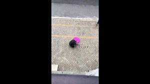 Large firecracker sends smoke up building in Zhejiang, China