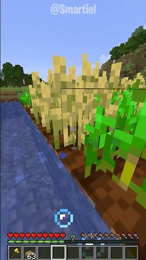 Advanced Tutorial #shorts #minecraft