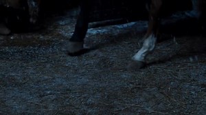 The Way Back 2010 Cima4U