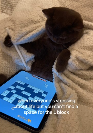 Finding Space for the L Block in Stressful Times