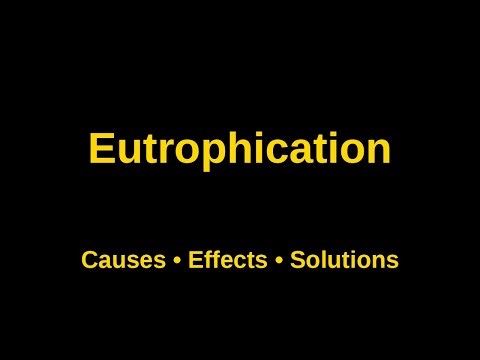 The Shocking Truth About Eutrophication Nobody Warns You About