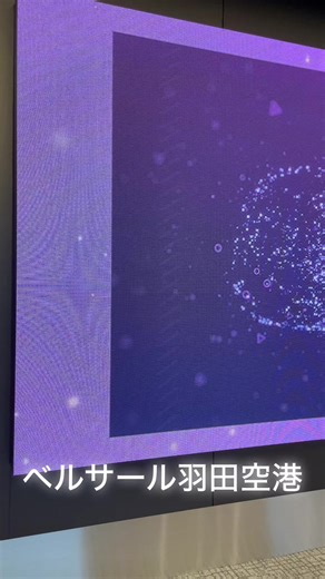 BTSのVR体験が最高！羽田エアポートガーデン