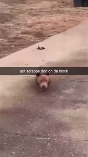 hard #fyp #fyppppppppppppppppppppppp #meme #viral #dubstep