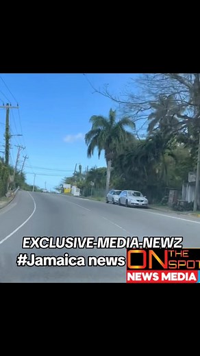 Exploring a Tropical Road: Vehicles and Scenery