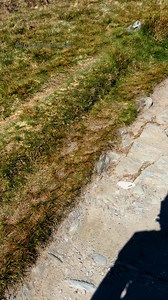 Ben Lomond hiking Trail | We love Scotland