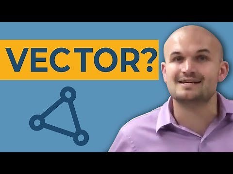 What is a vector