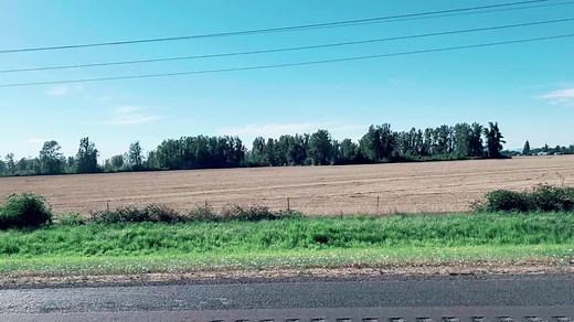 Willy Rodriguez on TikTok