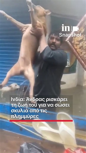 in.gr | Ινδία: Άνδρας ρισκάρει τη ζωή του για να σώσει σκυλιά από τις πλημμύρες #ingr #insnapshot #Ινδια #πλημμύρες | Instagram
