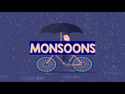 Monsoons | Animation