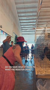 13K views · 64 reactions | How about a good ol fashioned Rooster Crowing Contest? The mom calling contest is one thing, but this is next level! Open to anyone at the fair, the ultimate showdown between human and fowl. Come on down -- there's something crazy happening at the fair every day! COCKLE DOODLE DO #wilsoncountytnstatefair #tnstatefair | Wilson County Fair - TN State Fair | Facebook