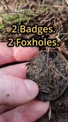 2 Badges. 2 Foxholes. | April 1945 #ww2 #metaldetecting
