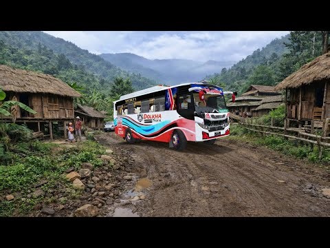 Dolkhali tiger nepali bus skin for araniko v2 mod