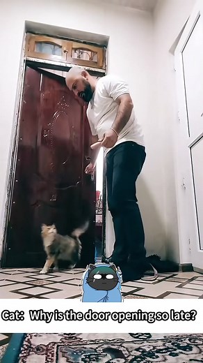 Funny Cat Reactions to Late Door Opening