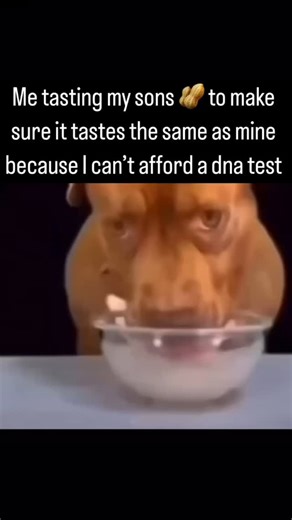 Villo plasty on Instagram