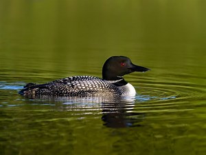 MN Place Among 50 Most Beautiful In U.S.: Condé Nast Traveler