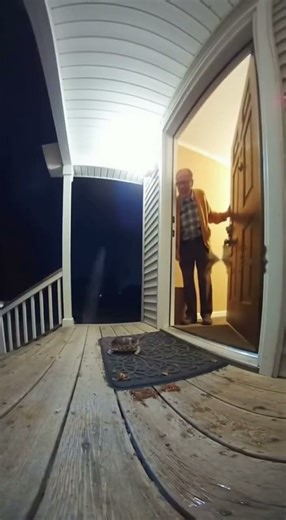 Turtle Blasts Grandpa’s Door With Water Jet 💦🐢🚪