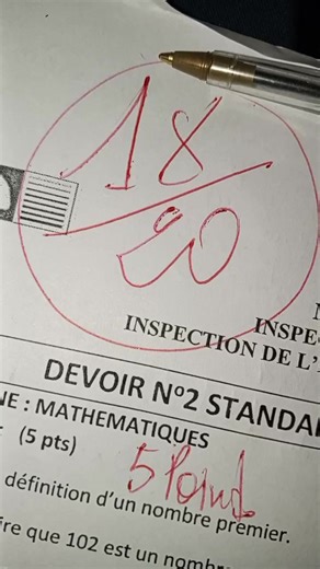 DEVOIR STANDARDISÉ N2 MATHÉMATIQUE 5IEME