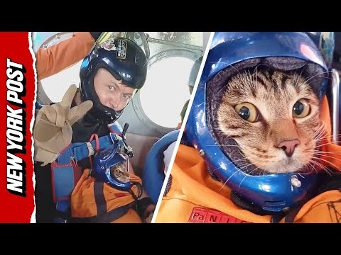 Daredevil cat skydives with owner—wearing his own tiny helmet