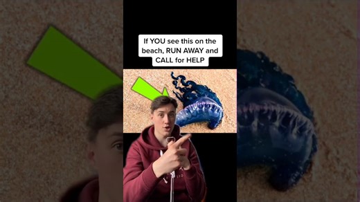 Beachside signs that experts say require quick precaution