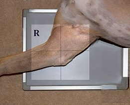 Improving elbow radiography - the importance of positioning and exposure