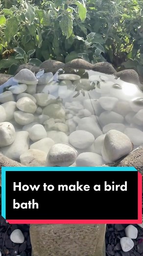 How to make a bird bath from a concrete planter. #Learnontiktok #learntok #birdbath #planter #birds #insects #ukheatwave #planttiktok #planttok #garden #gardening #gardeningideas #gardeninspiration #gardenMakeover #gardendesign #outdoorliving #gardencore#fyp #foryou #foryoupage #gardenersofTikTok