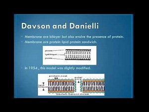 CSIR NET -plasma membrane history