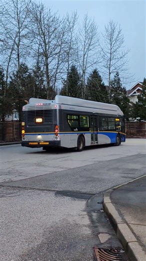 TransLink 2018 Newflyer XN40 (S18168) at Scottsdale Exchange
