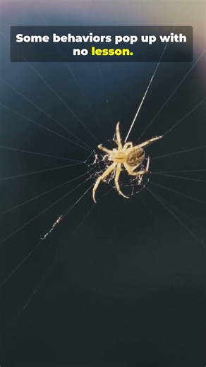 Instinct vs. Learned Behavior Explained