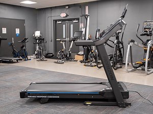 FitRated » Horizon Fitness 7.0 AT (2025)