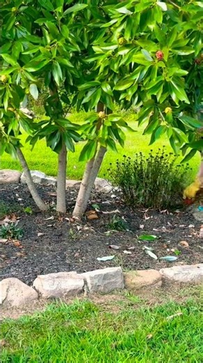 MOTIVATIONAL GARDEN CLEAN-UP | Garden Tools!